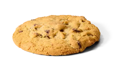 Warm Chocolate Chip Cookie